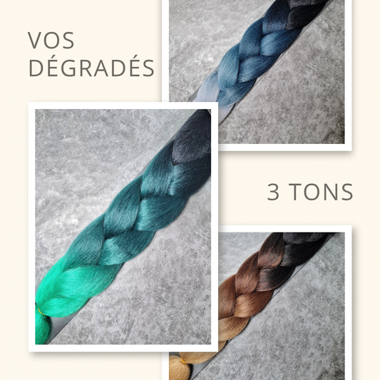 Mèche coloré 3 tons Paolina Fashion