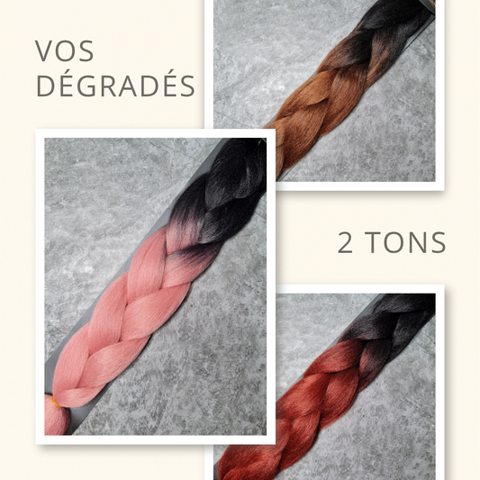 Mèche coloré 2 tons Paolina Fashion